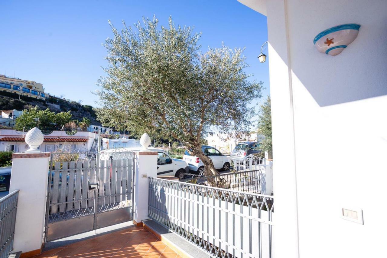 Casa Restituta Daire Lacco Ameno  Dış mekan fotoğraf