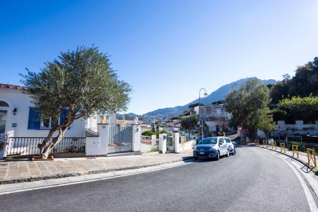 Casa Restituta Daire Lacco Ameno  Dış mekan fotoğraf
